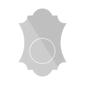 Model E Aura.