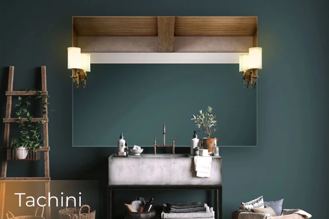 Tachini lamp in a mirror set into a dark green wall with a plant ladder on the side of a basin.